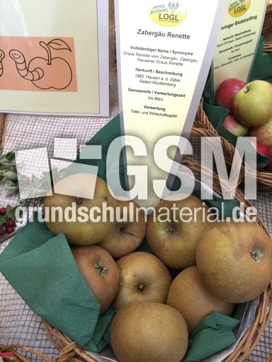 Zabergäu Renette.jpg